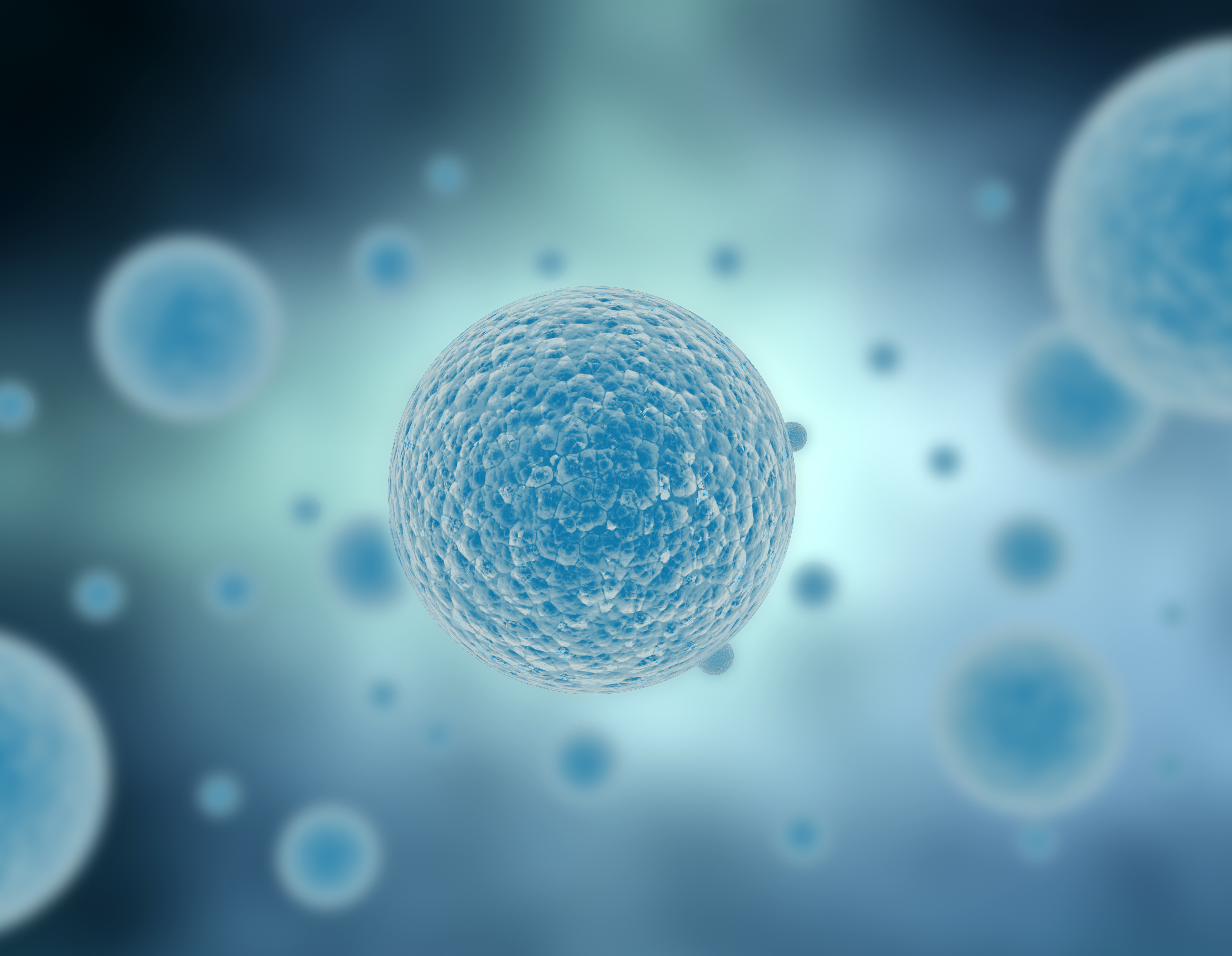 Illustration of cells in blue