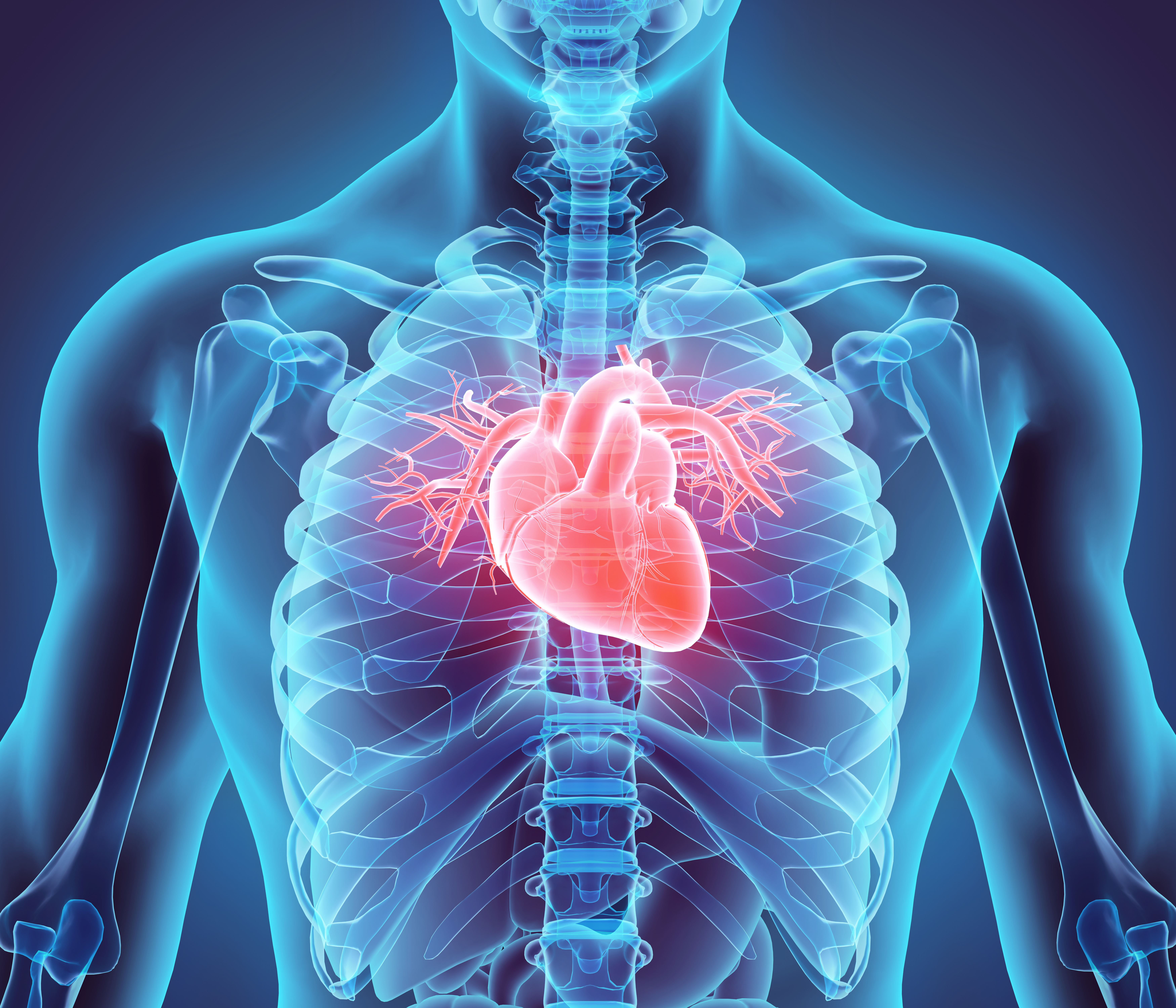Beating Heart Patch is Large Enough to Repair the Human Heart – Wales